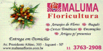 Floricultura - Jaguaré