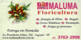 Floricultura - Jaguaré